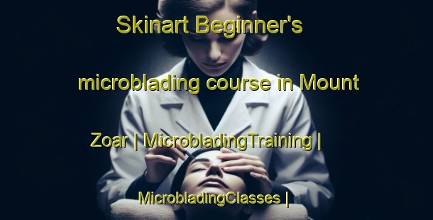 Skinart Beginner's microblading course in Mount Zoar | MicrobladingTraining | MicrobladingClasses | SkinartTraining-United States